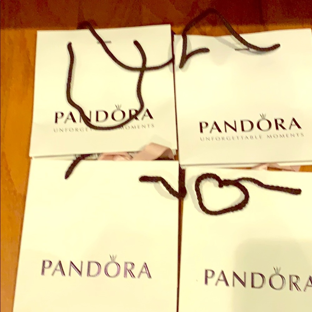 Pandora gift bag